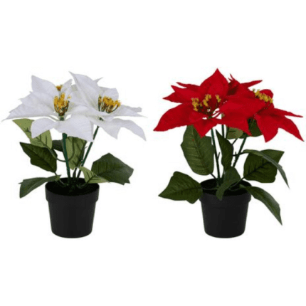 Kunstlill jõulutäht punane/valge 24cm