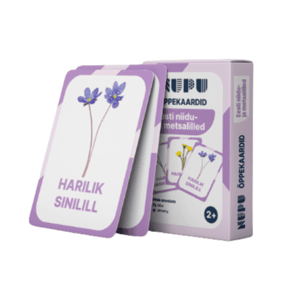 Õppekaardid - Eesti niidu- ja metsalilled