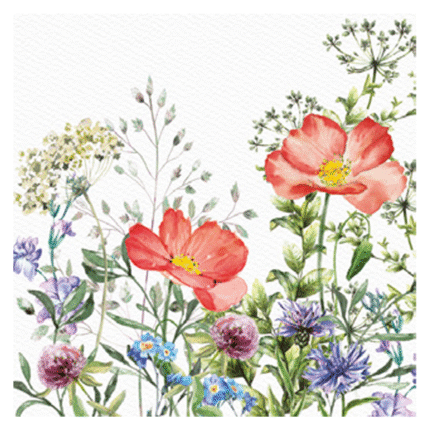 Salvrätikud lillepõld 33x33cm (20 tk/pk)