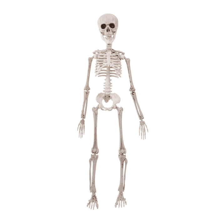 Halloweeni rippuv dekoratsioon skelett 50cm - Image 1