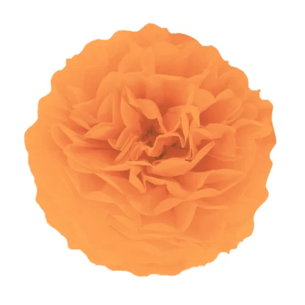 Paberist pompom oranz 35cm