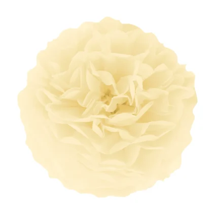 Paberist pompom beez 35cm