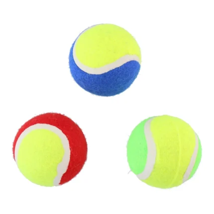 Koera mänguasi tennisepallid (3 tk/pk)